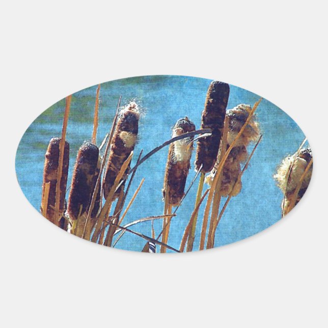 Cattails on the Pond Oval Sticker (Front)