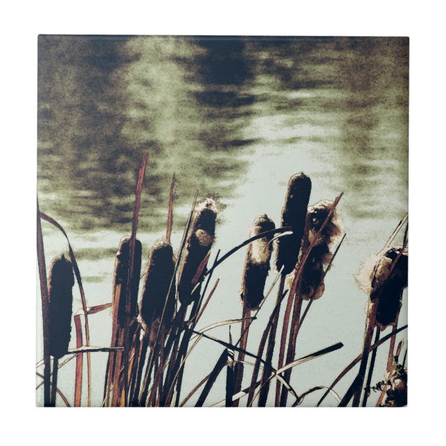 Cattails, Pond Plants Tile (Front)