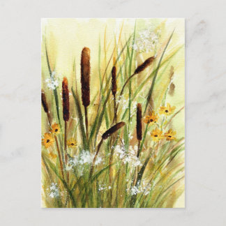 cattails postcard