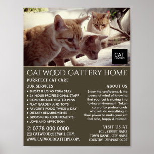 Cattery, Pet Boarding Service, Advertising Poster