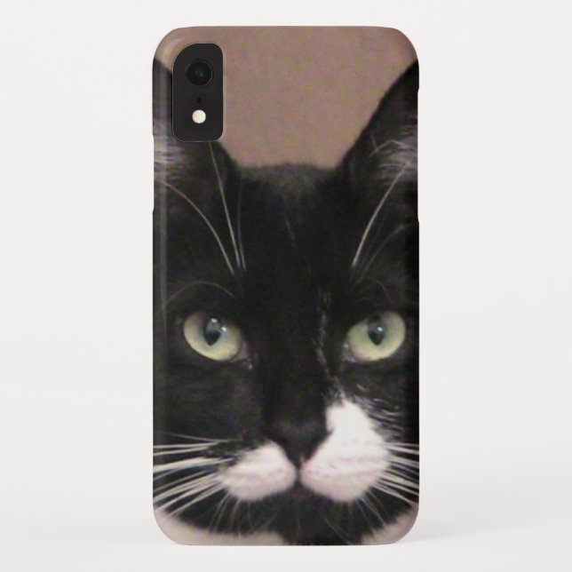 Cattitude iPhone Case (Back)