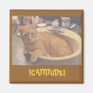!CATTITUDE!, (Or why I can't clean) Magnet