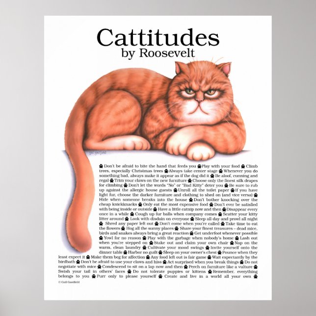 Cattitudes Poster (Front)