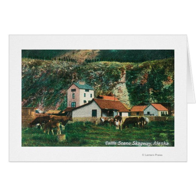 Cattle Amongst Barns SceneSkagway, AK (Front Horizontal)