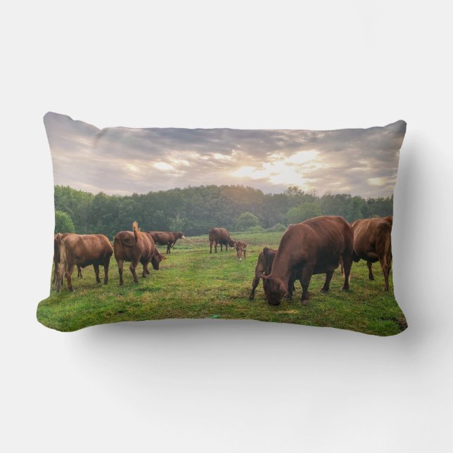 Cattle At Sunset Throw Pillow (Front)