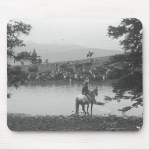 Cattle by a pond with two cowboys. mouse mat