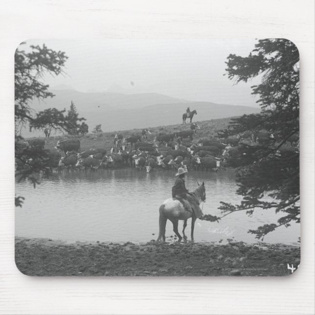 Cattle by a pond with two cowboys. mouse mat (Front)