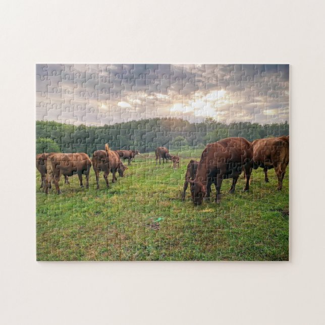 Cattle By The Pond At Sunset Jigsaw Puzzle (Horizontal)