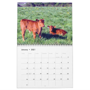 Cattle Calendar