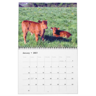 Cattle Calendar