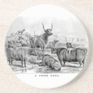 Cattle Coaster