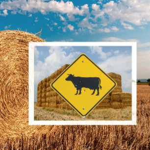 Cattle Crossing Sign, Baled Stacked Hay Postcard