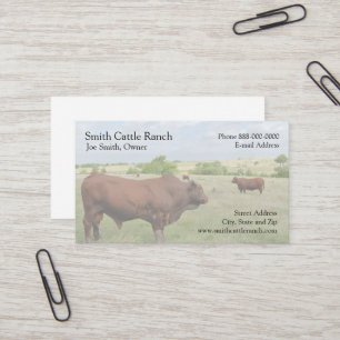 Cattle Dairy Farmer Business Card