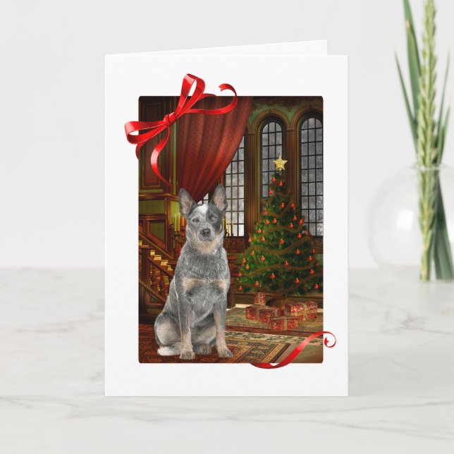 Cattle Dog Christmas Card (Front)