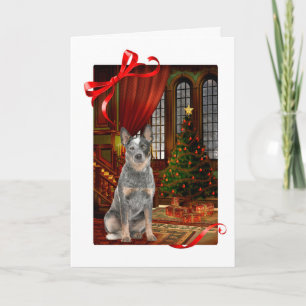 Cattle Dog Christmas Card
