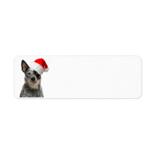 Cattle Dog Christmas Return Address Labels