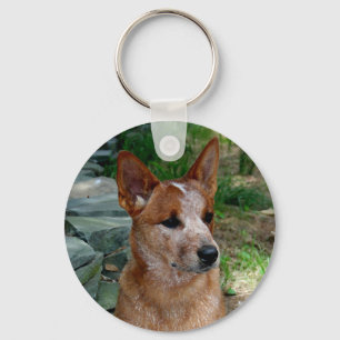 Cattle Dog Key Ring