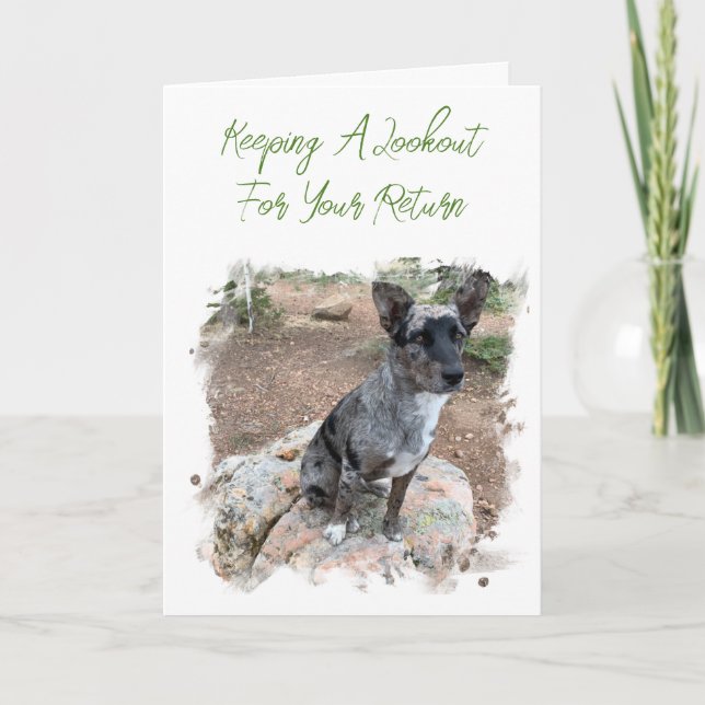 Cattle Dog Photo Placeholder Missing You Template (Front)