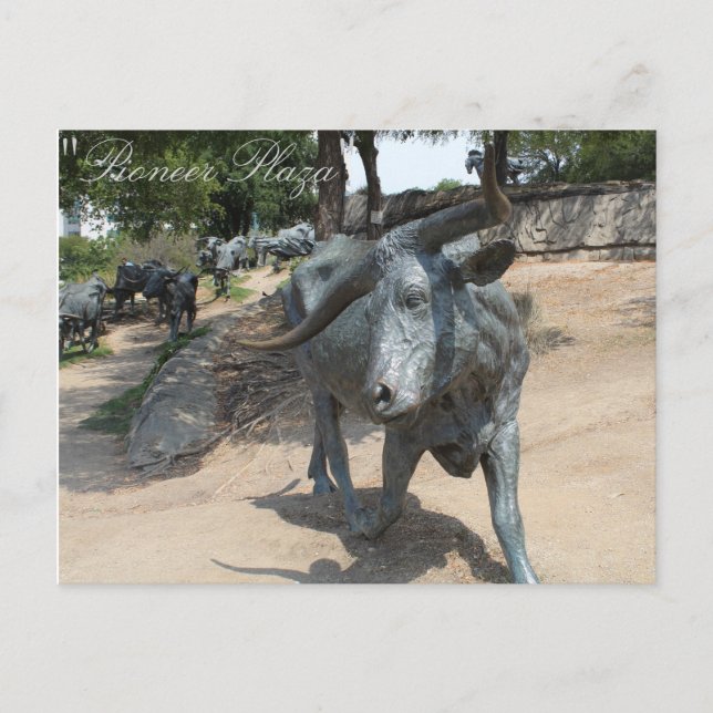 Cattle Drive # 3 Postcard (Front)