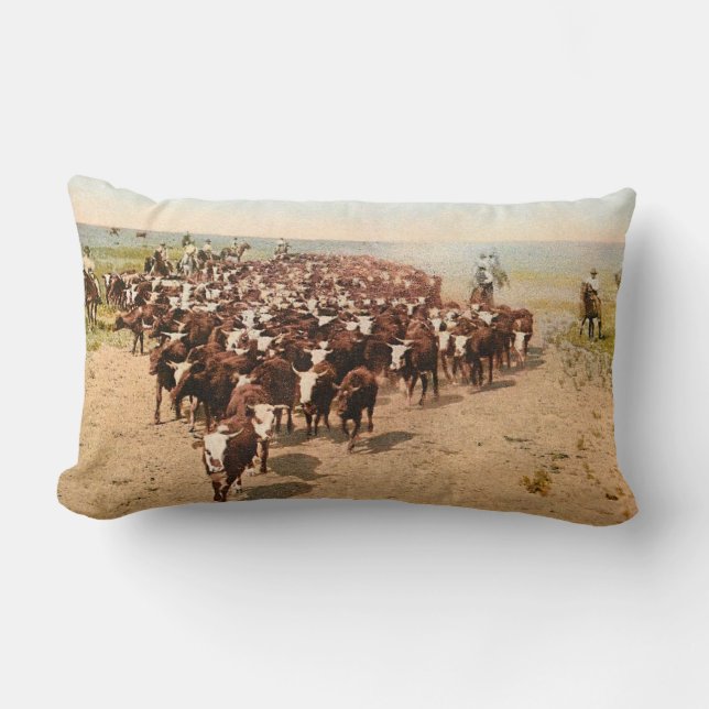 Cattle Drive Lumbar Cushion (Front)