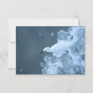 Cattle Egret/Gulls and Puffin recycled Thank You Card