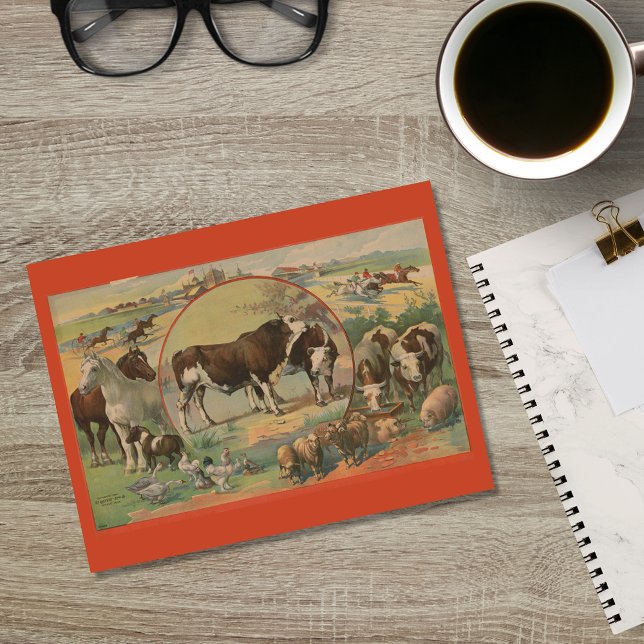 Cattle Farm Animals Race Track Ephemera Postcard (Creator Uploaded)