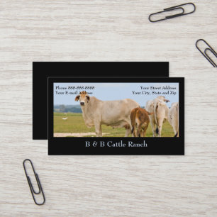 Cattle Farm Ranch Business Card