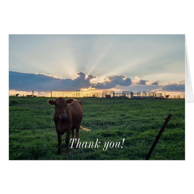 Cattle Farm Sunset (Front Horizontal)