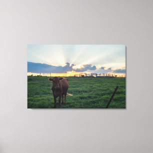 Cattle Farm Sunset Canvas Print