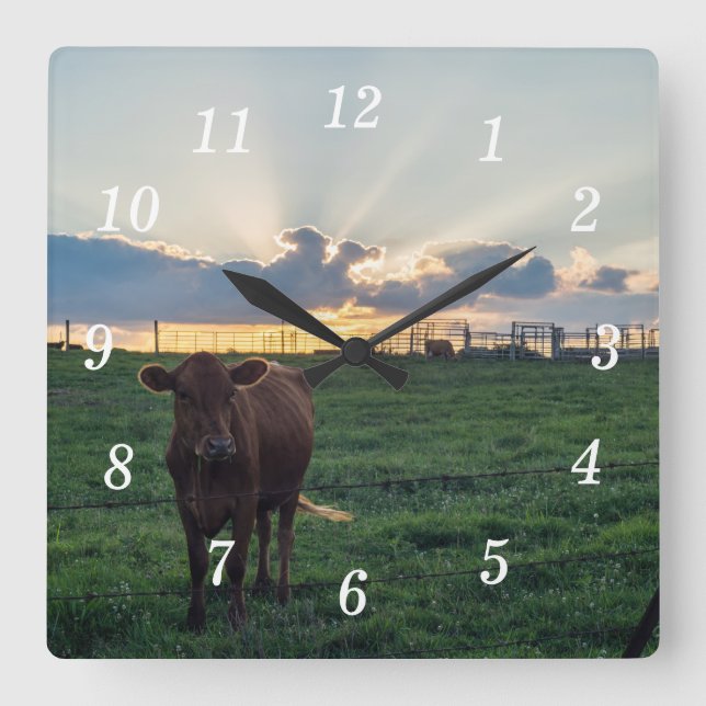 Cattle Farm Sunset Wall Clock (Front)