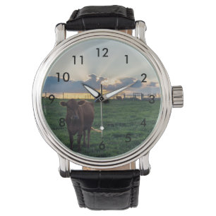 Cattle Farm Sunset Watch
