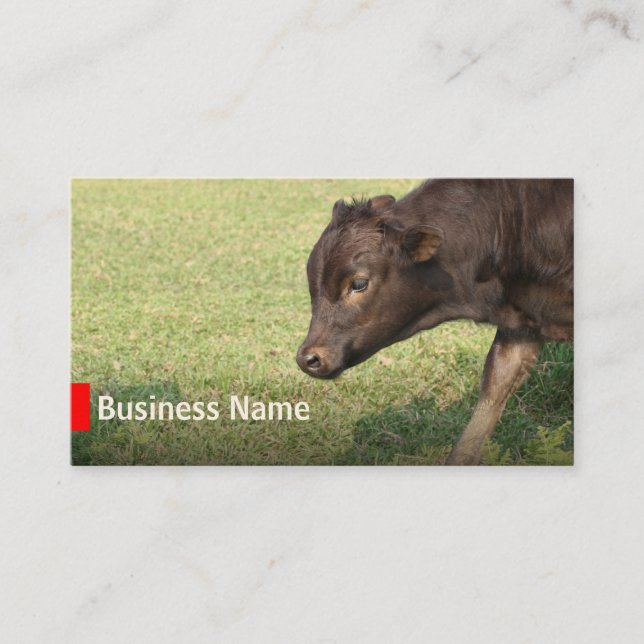 Cattle Farming Beef Ranch Business Cards (Front)