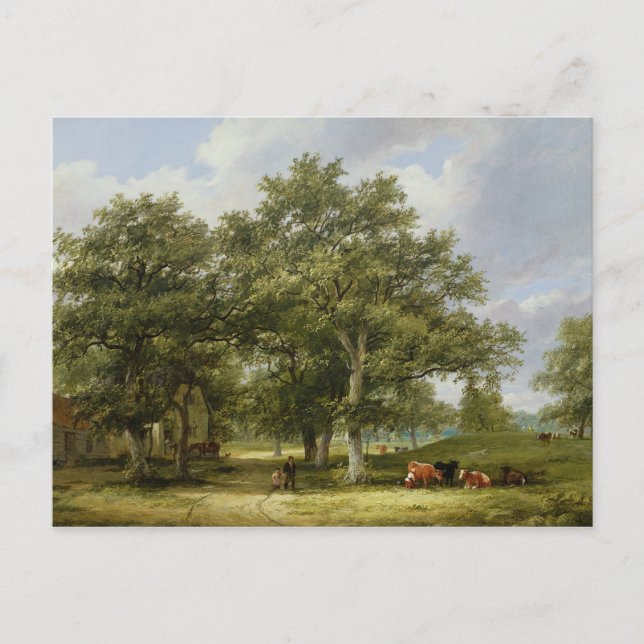 Cattle Grazing Postcard (Front)