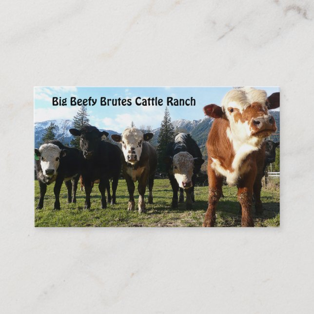 Cattle Herd on Country Farm Business Card (Front)