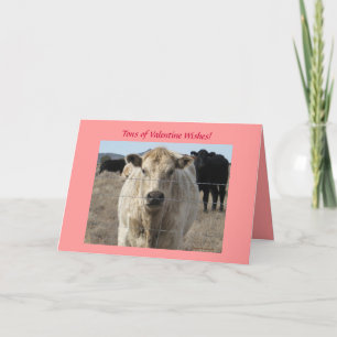 Cattle Herd Valentine Wishes - Western Holiday Card