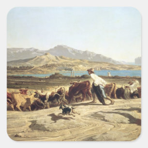 Cattle herding near Marseilles, 1853 (oil on canva Square Sticker