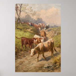 Cattle in the Sunshine with Shepherd Poster