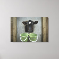 Cattle, Individual Pen