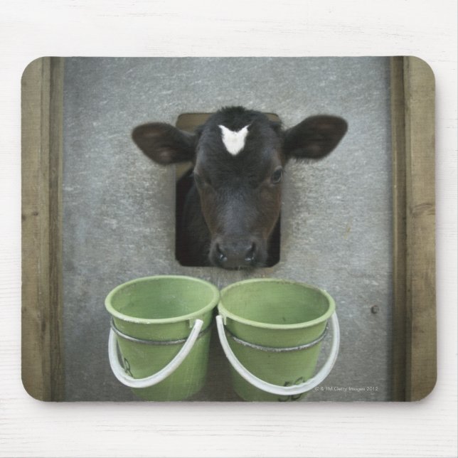 Cattle, Individual Pen Mouse Mat (Front)