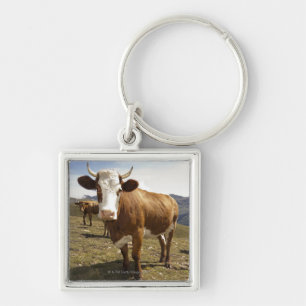 Cattle Key Ring