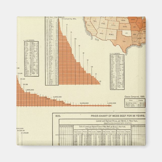 Cattle Magnet (Front)