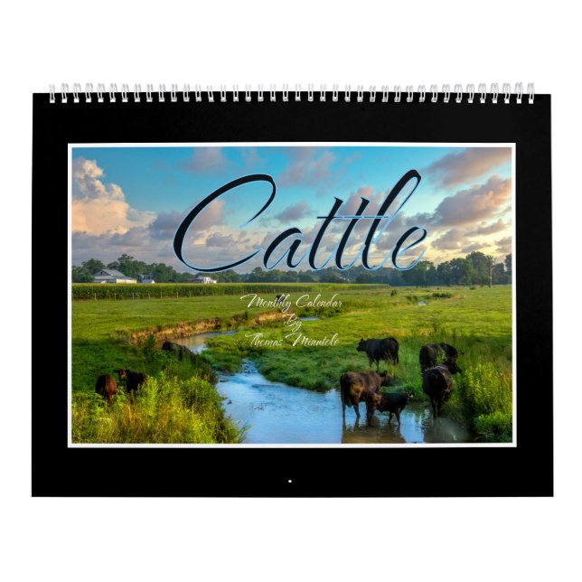 Cattle Monthly Calendar By Thomas Minutolo (Cover)