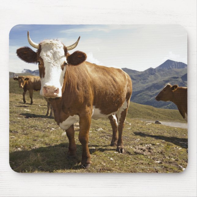 Cattle Mouse Mat (Front)