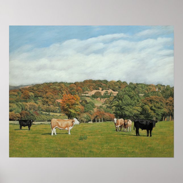 Cattle Near Pentyrch Poster (Front)