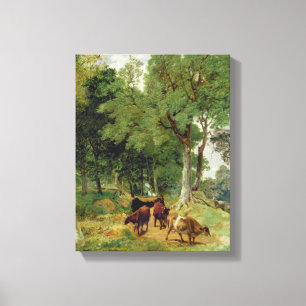 Cattle on a Devonshire Lane Canvas Print