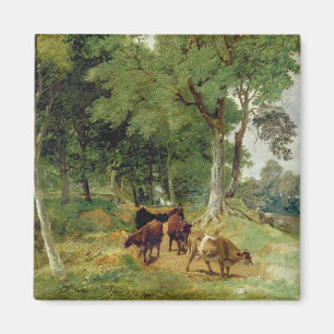 Cattle on a Devonshire Lane Magnet