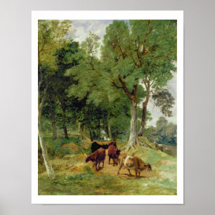 Cattle on a Devonshire Lane Poster