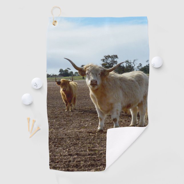 Cattle on the Loose: Highland Cows Wheat Heist Golf Towel (InSitu)