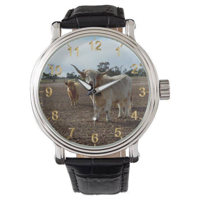 Cattle on the Loose: Highland Cows Wheat Heist Watch (Front)