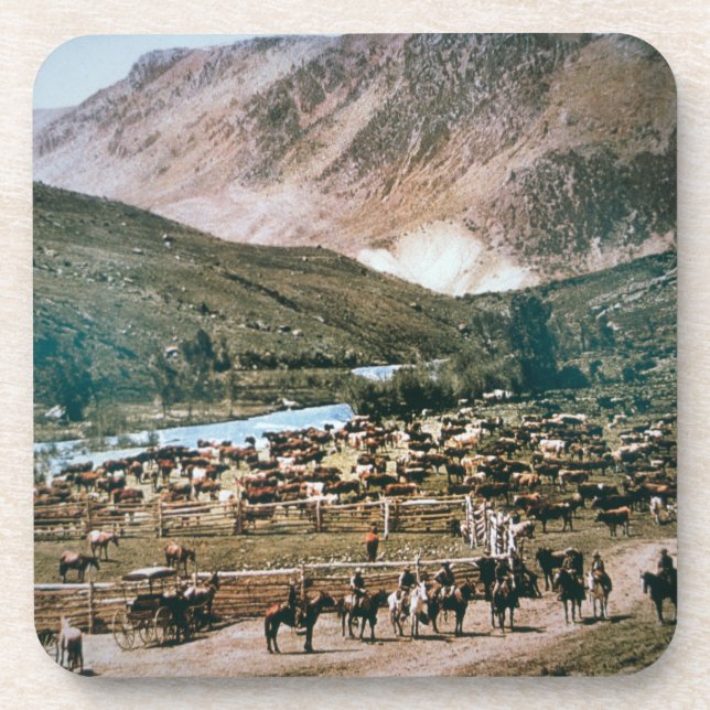 Cattle Ranch, Colorado, 1899 (photo) Coaster (Front)